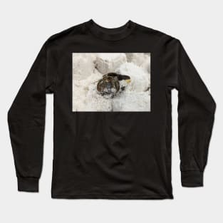 Hermit Crab in Sand Long Sleeve T-Shirt